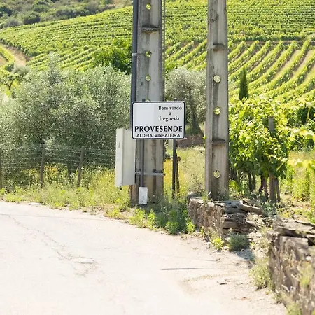 Douro Villas Villa Provesende